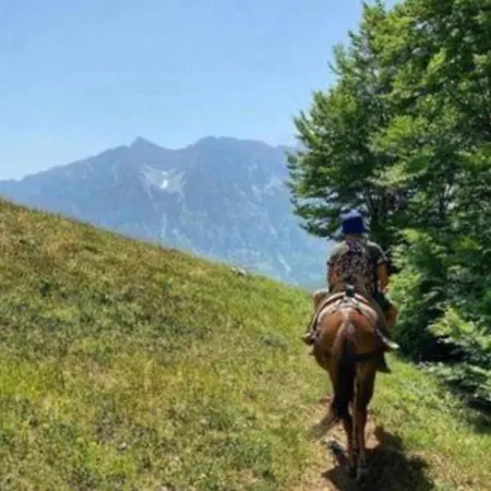 بيت ضيافة Kukaj *